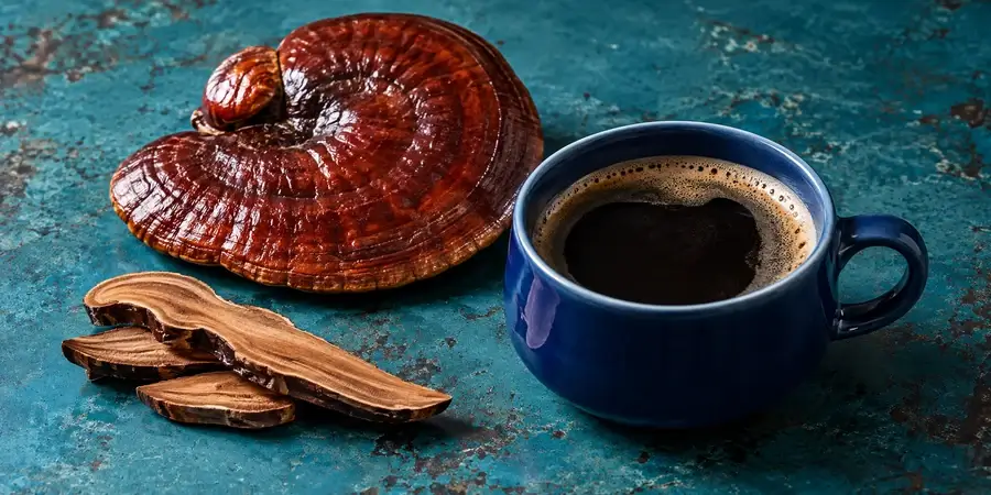 Lesklá červenohnědá plodnice lesklokorky a její plátky vedle modrého šálku černé kávy na tyrkysovém pozadí